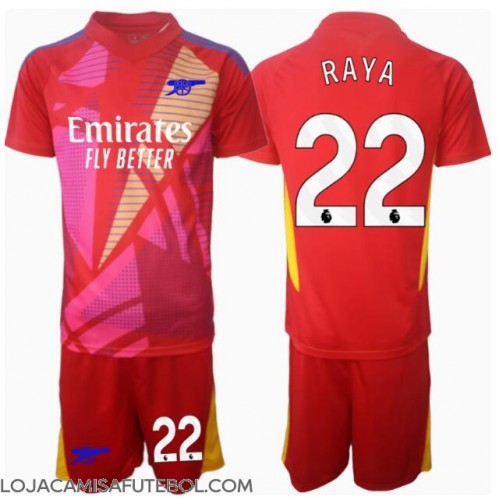 Camisa de Futebol Arsenal David Raya #22 Goleiro Equipamento Secundário Infantil 2024-25 Manga Curta (+ Calças curtas)